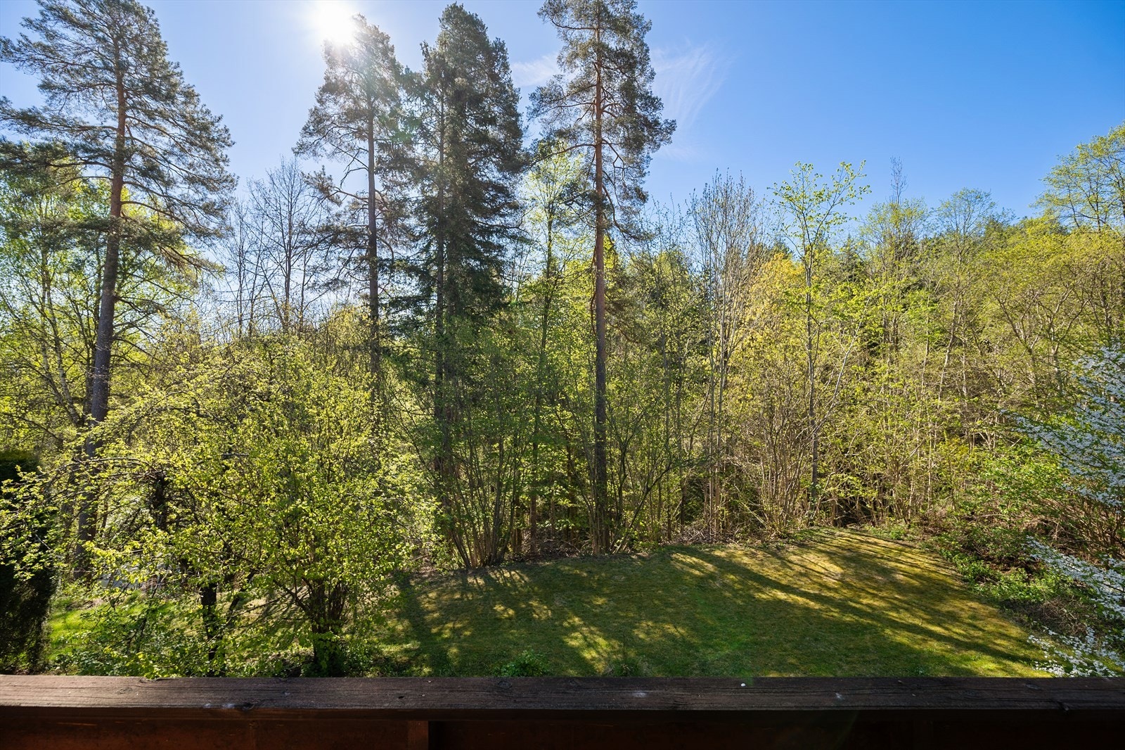Utsikt. Galleribilde