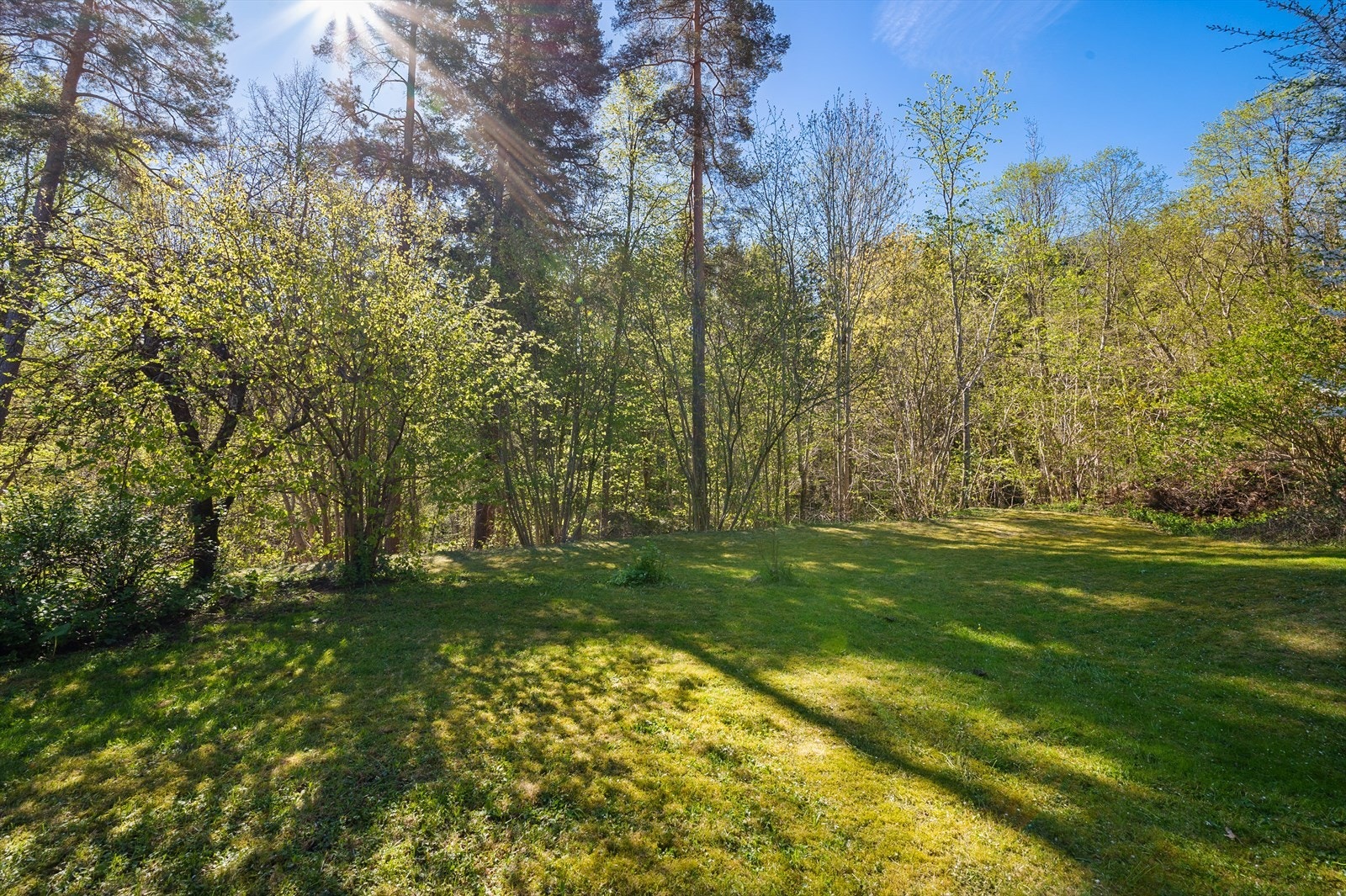 Gode solforhold. Galleribilde