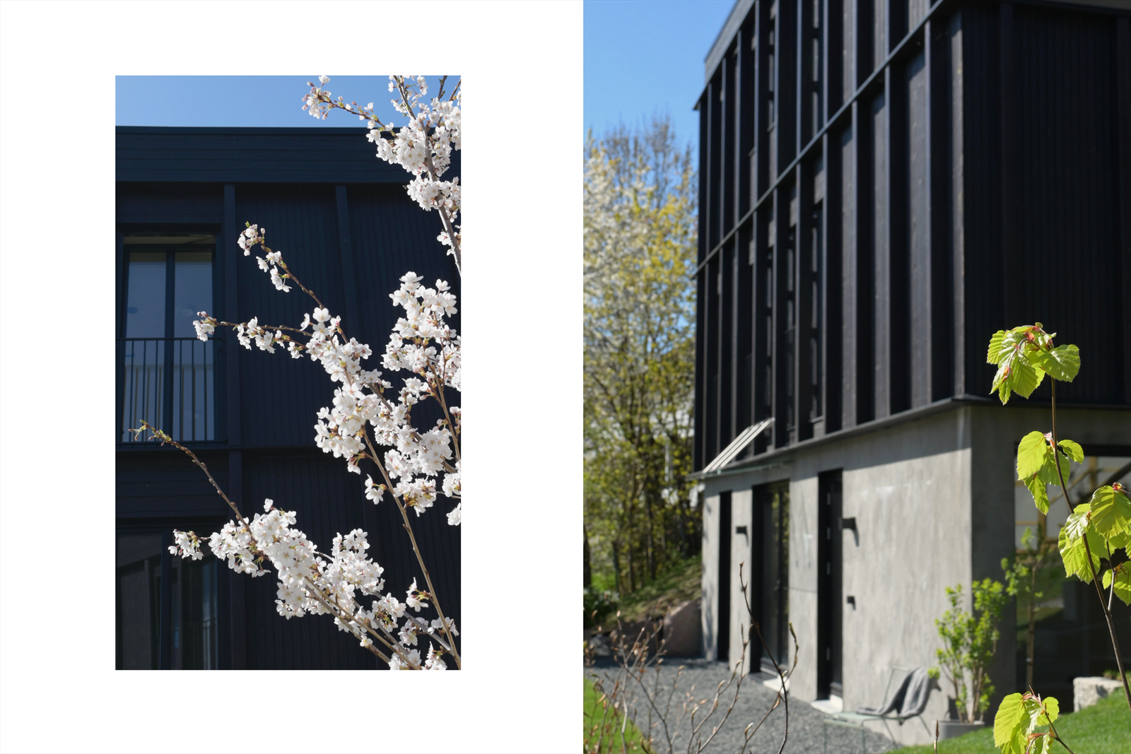 I skråningen nederst ved trappen er det plantet et dekorativt Tokyo-kirsebærtre som gir tidlig og vakker blomstring på våren. Blomsterkasse med barlind utenfor kjellervindu samt potte med viftelønn ved hushjørnet medfølger eiendommen. Galleribilde