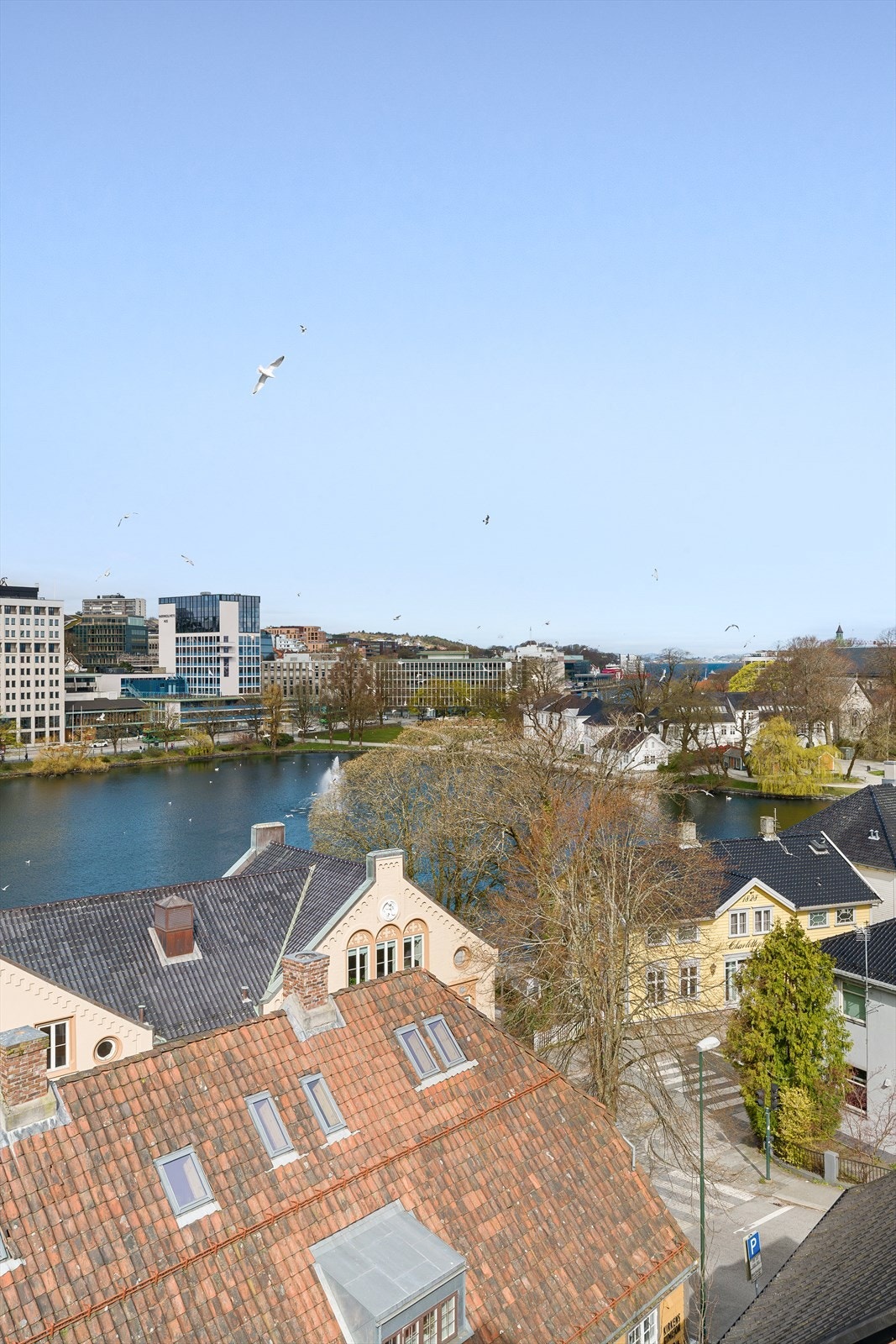 En urban og levende utsikt som endrer seg med årstidene. Galleribilde