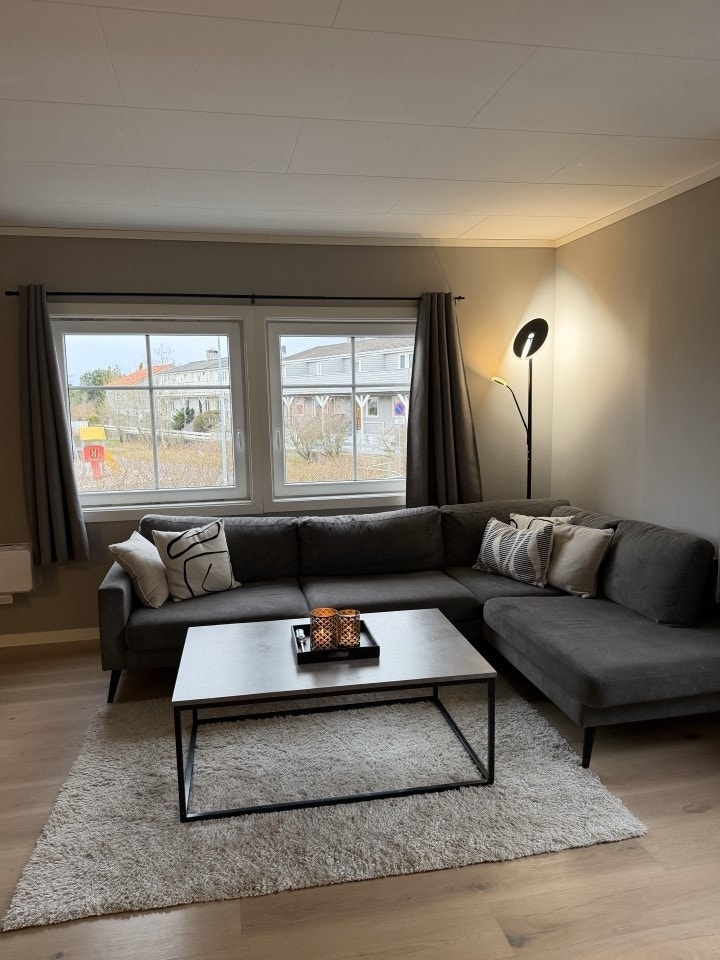 Stue Galleribilde