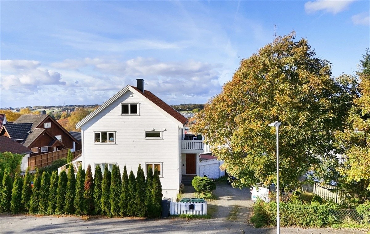 Fasade Galleribilde