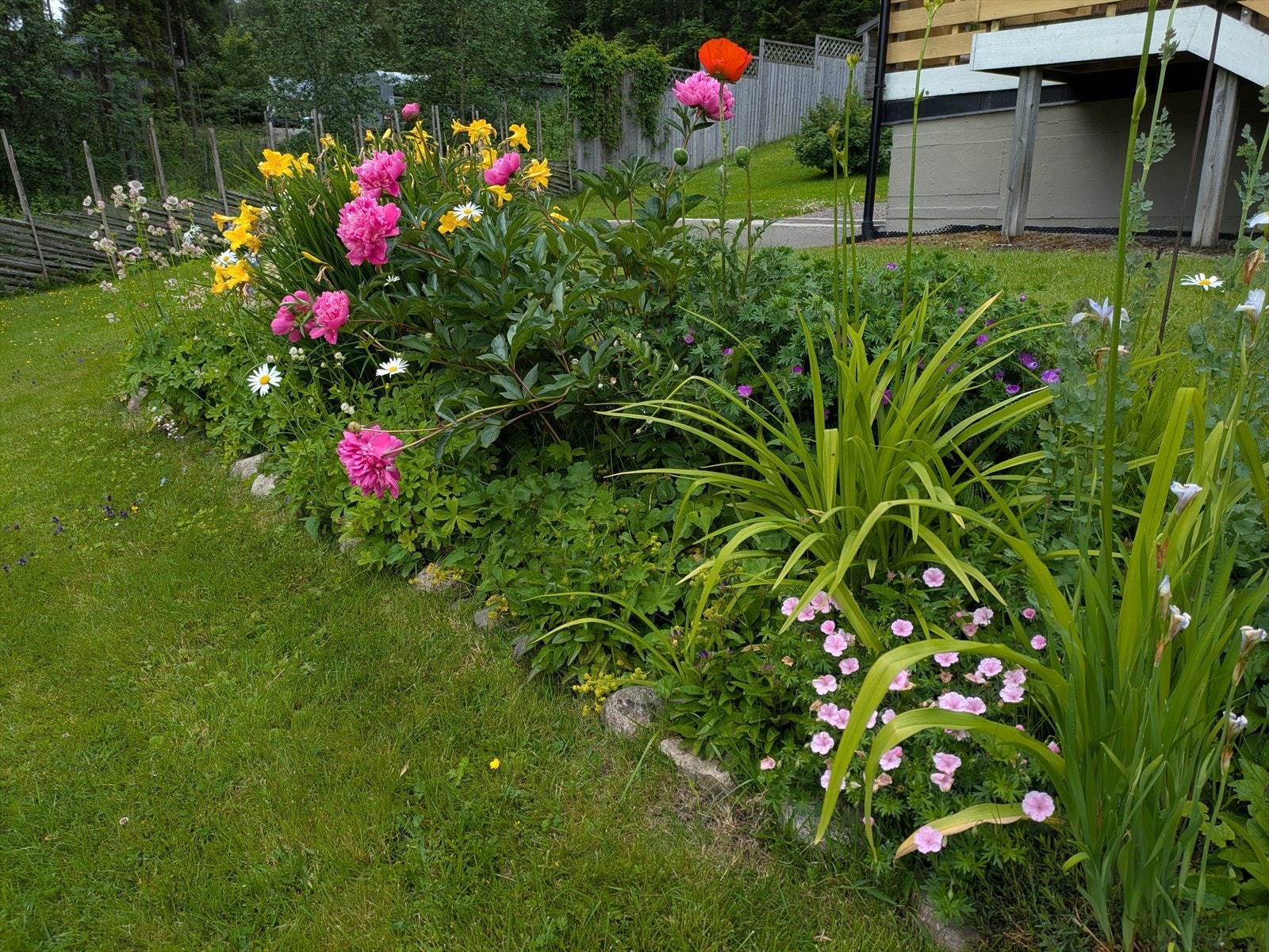 Hagen er pent opparbeidet med plen og blomsterbed. Galleribilde