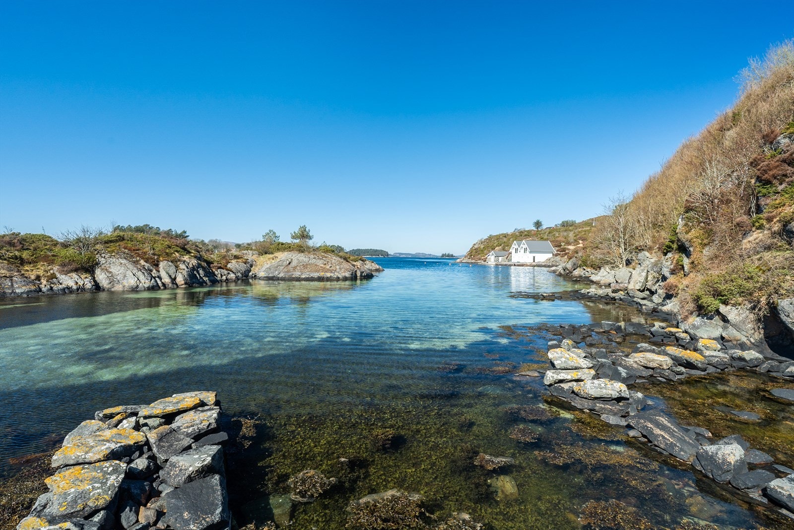 - Galleribilde