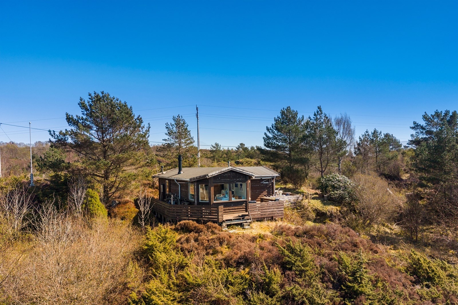 - Galleribilde