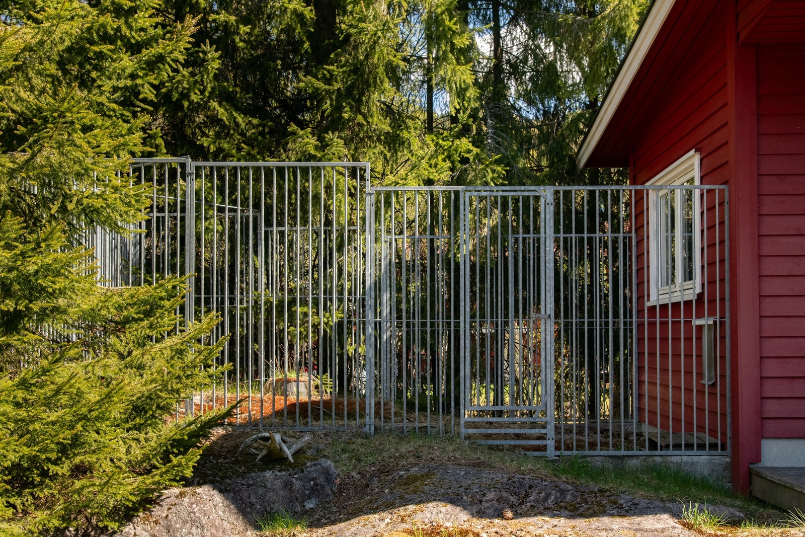 Eiendommen er spesielt godt tilrettelagt for hundehold, med inngjerdet hage og egen hundegård. Galleribilde