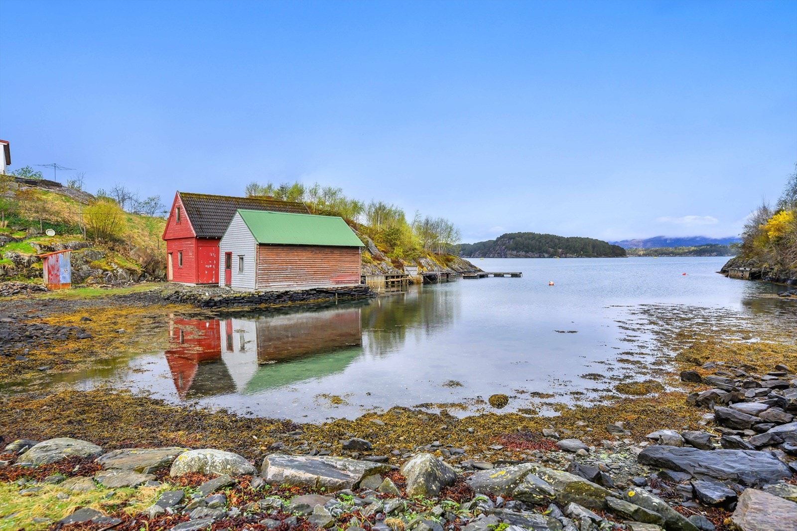 Fin badefjære sommerstid. Galleribilde