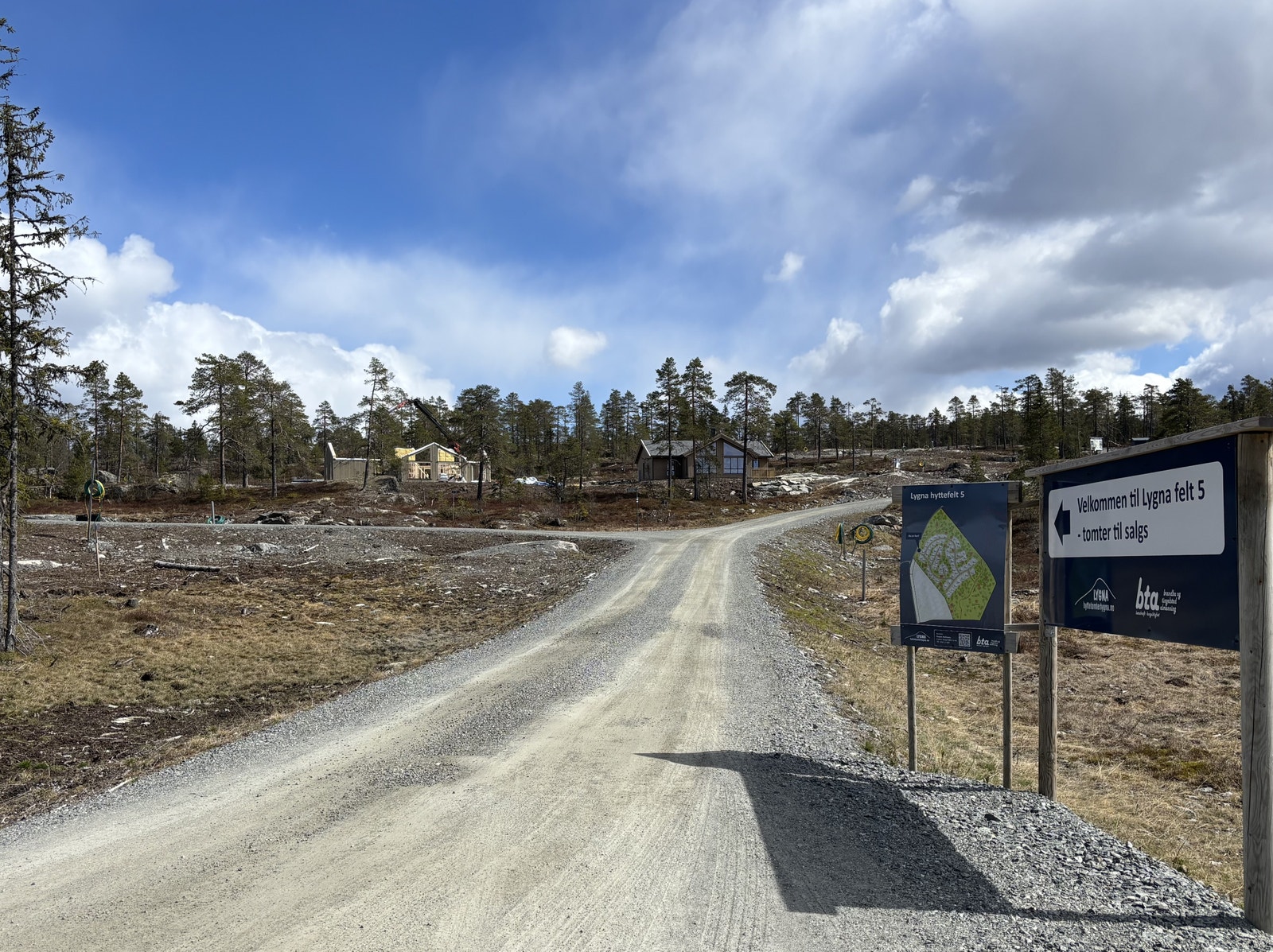 Bilde tatt fra starten av feltet Galleribilde