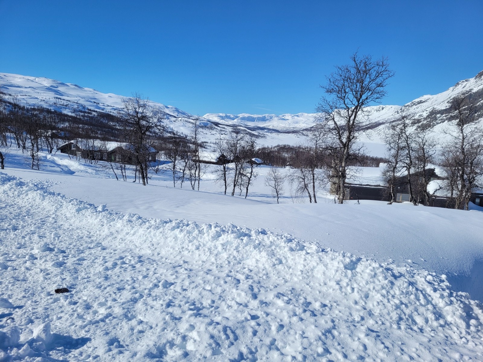 Vinterbilde fra selgers arkiv Galleribilde