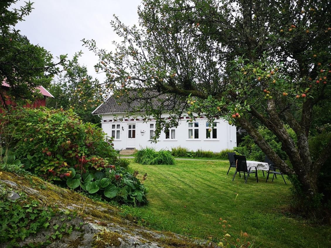 Sommerbilder fra selger. Galleribilde