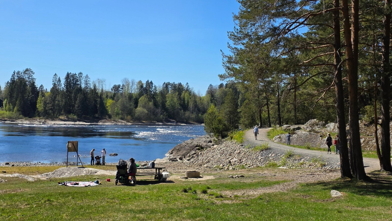 Det er laget til brede turstier langs Glomma, så alle kan nyte naturen. Galleribilde