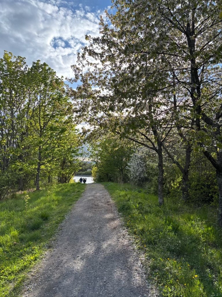 Kyststien strekker seg rundt hele Fornebu landet og videre utover til Snarøya (Selgers egne bilder) Galleribilde
