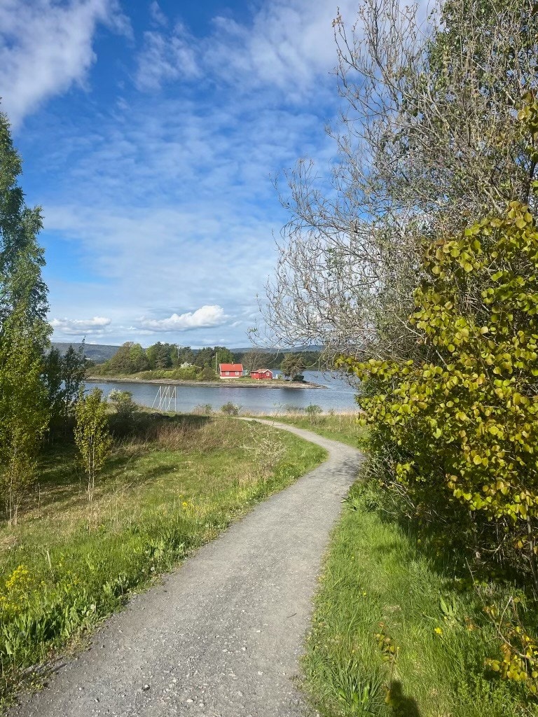 Kyststien langs Storøyodden (Selgers egne bilder) Galleribilde