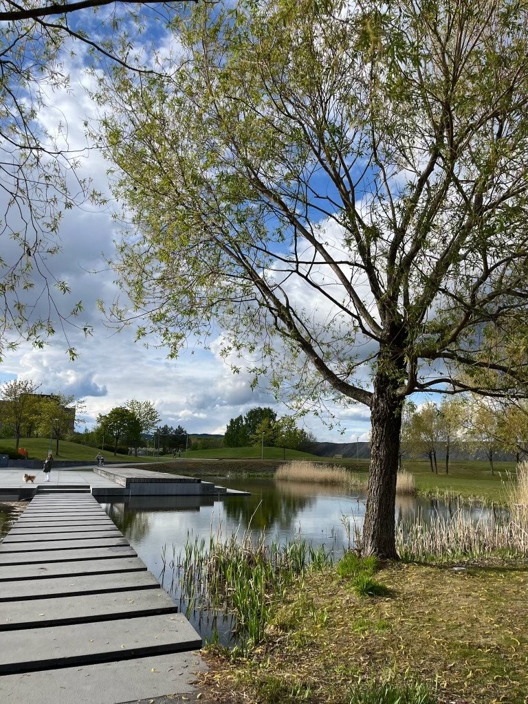 Festplassen i Nansenparken med flott vannspeil. Lages til skøytebane i vinterhalvåret (Selgers egne bilder) Galleribilde