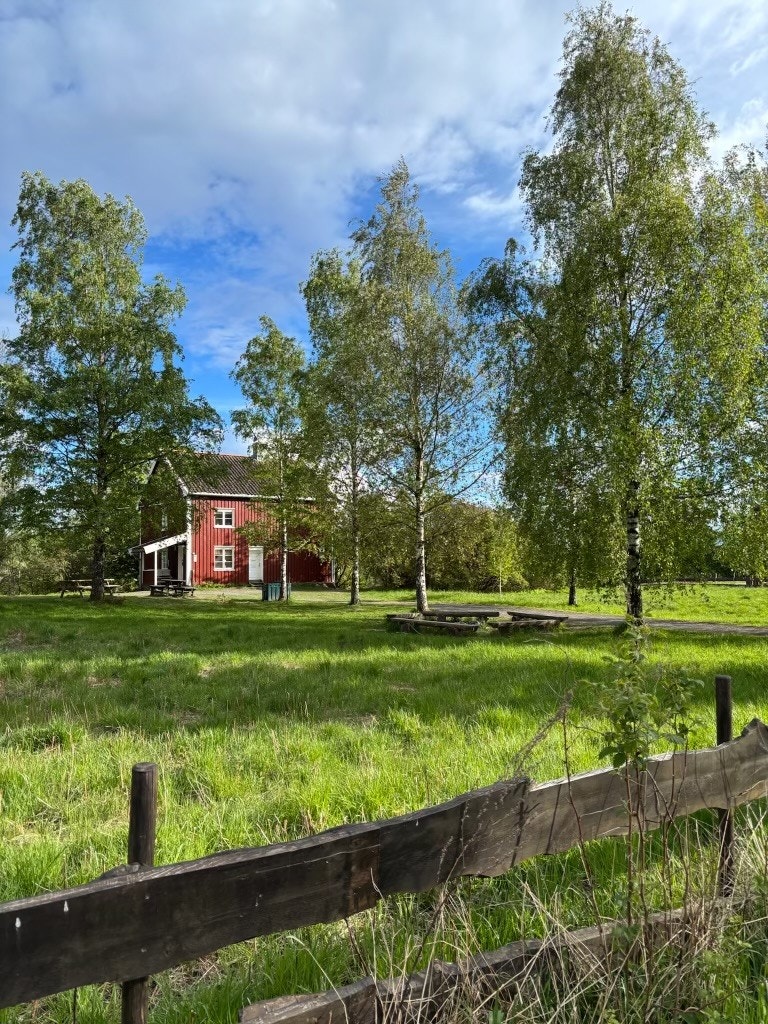 Lilleøyplassen Naturhus ligger idyllisk til i vannkanten og har fine opplegg for barnefamilier i helgene (Selgers egne bilder) Galleribilde