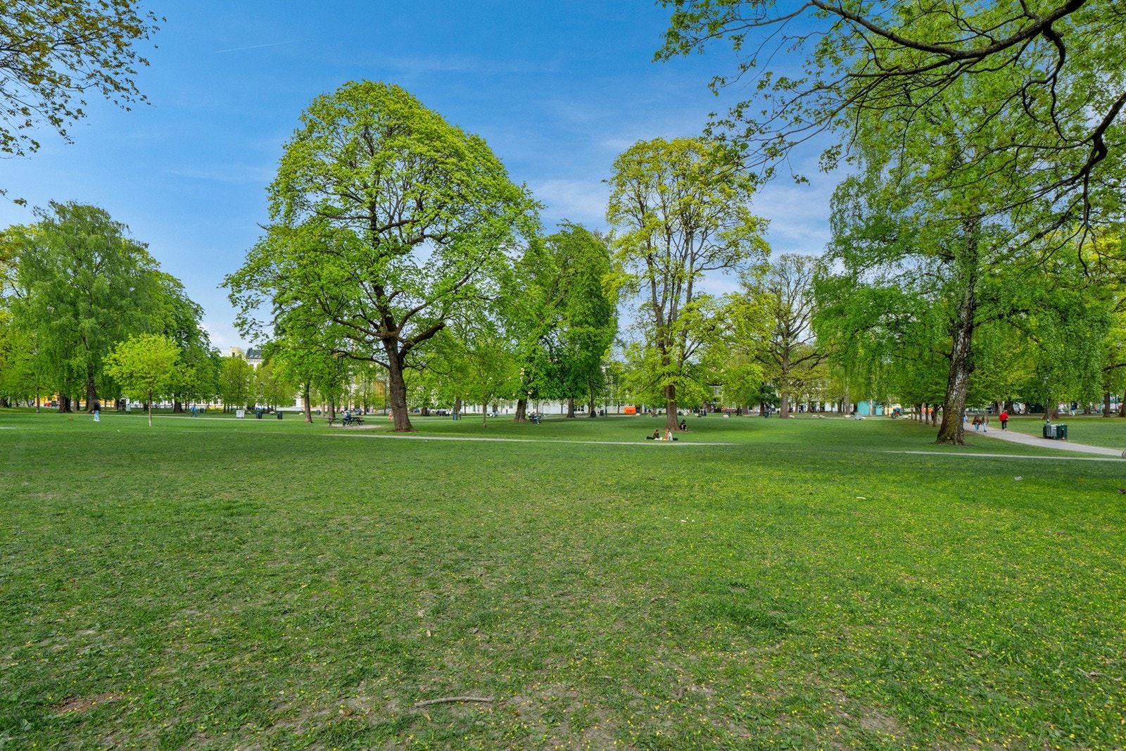 Med Torshovparken, Sofienbergparken og idylliske Akerselva, byr området på fine tur- og treningsmuligheter sommer som vinter. Galleribilde