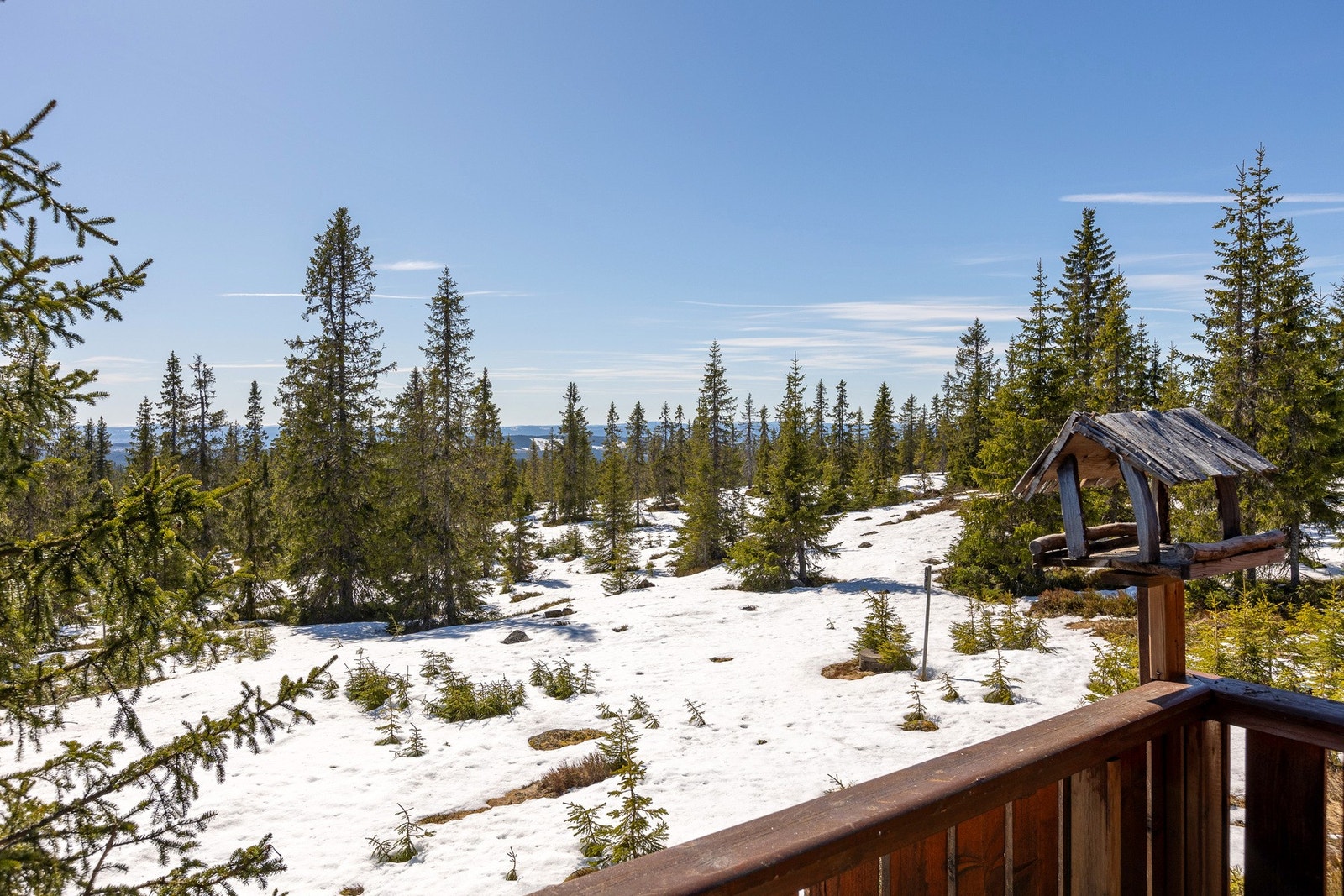 Hytta ligger på en punktfestet tomt (ca. 1 mål) omkranset av skog og fjellterreng som gir både skjerming og ekte hyttestemning. Galleribilde