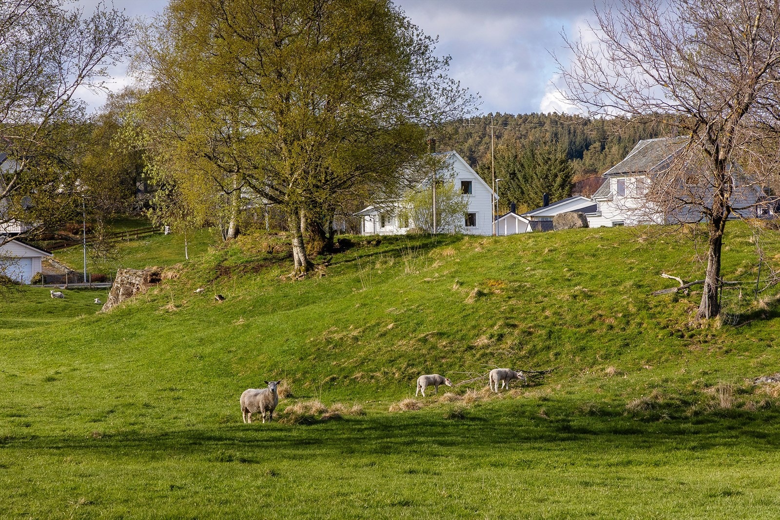 Her bor man i naturskjønne omgivelser med gode solforhold og flotte turmuligheter rett utenfor døren. Galleribilde