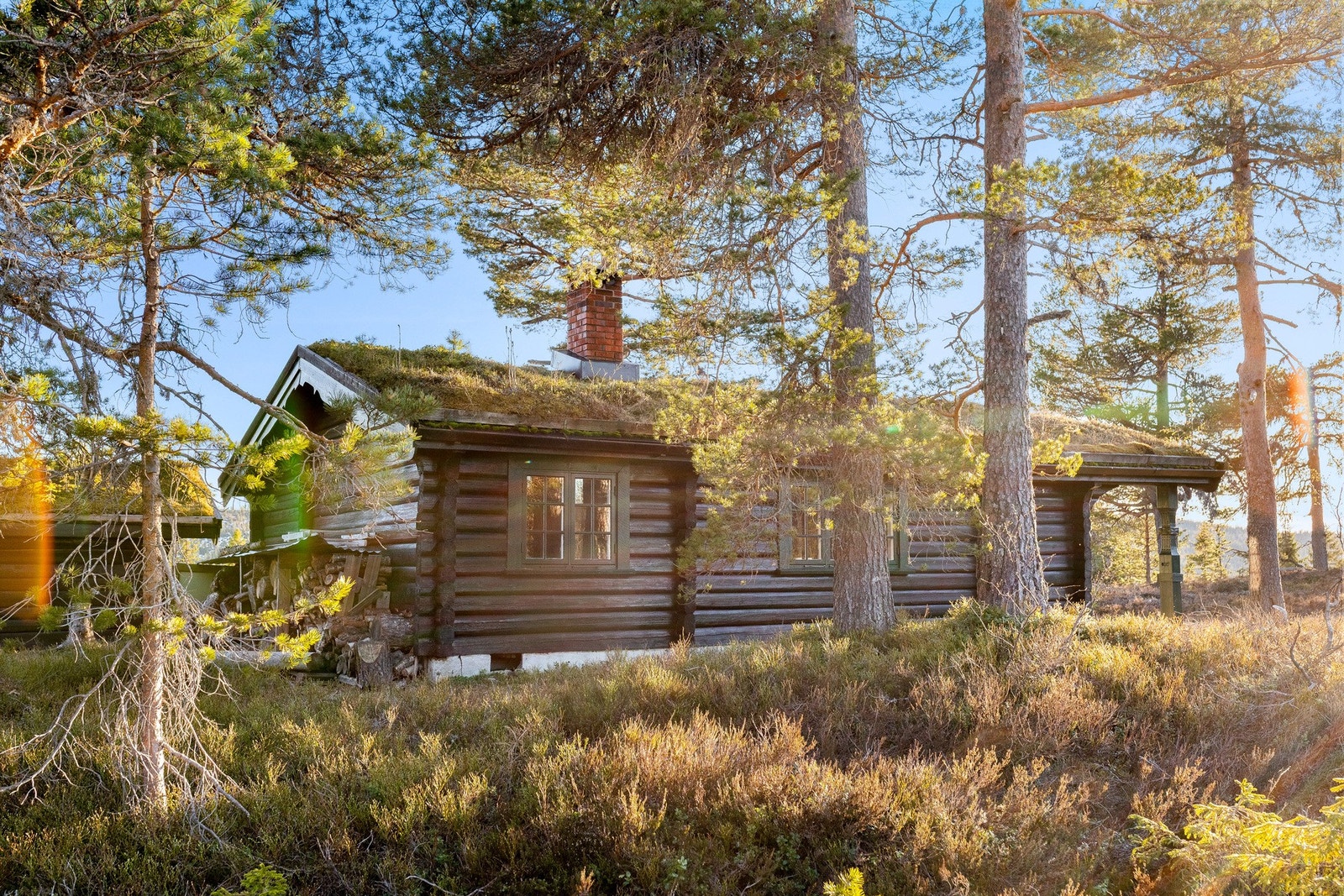 Naturen er rik på fisk og bær, og legger til rette for gode naturopplevelser. Vinterstid forvandles området til et attraktivt skiområde med stabile snøforhold. Galleribilde