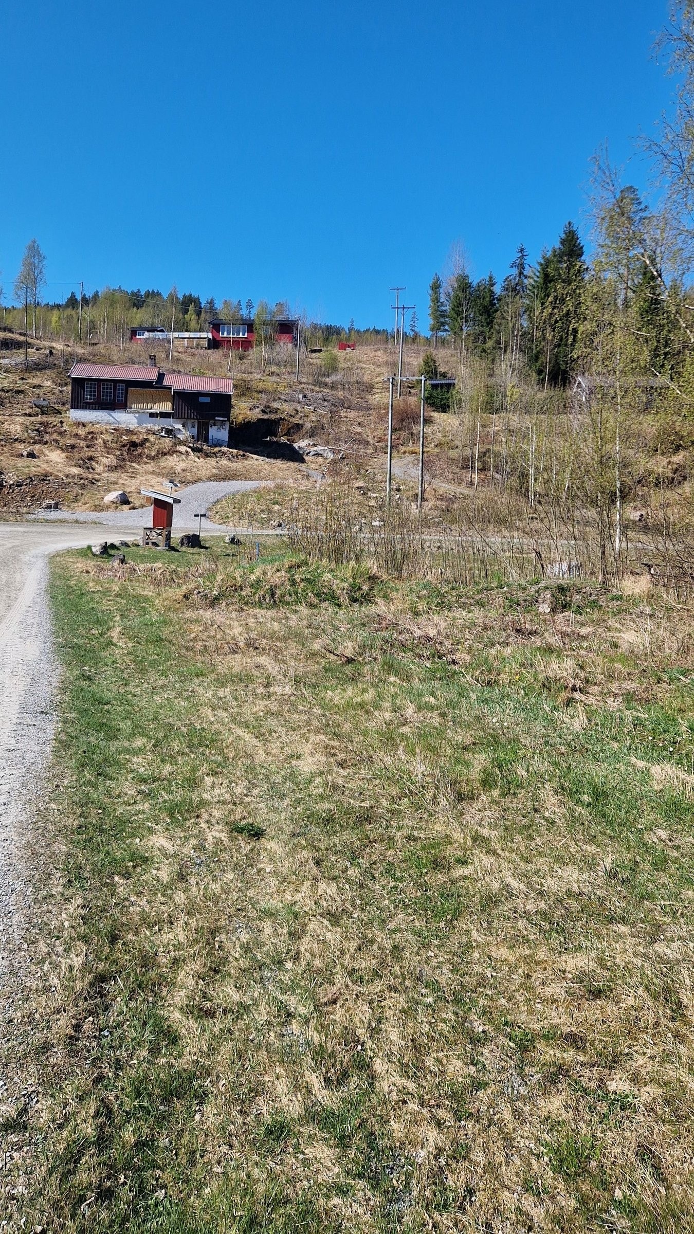 Korteste veien fra hytta til Dølisjøen går ned denne skråningen. Foto: eier. Galleribilde