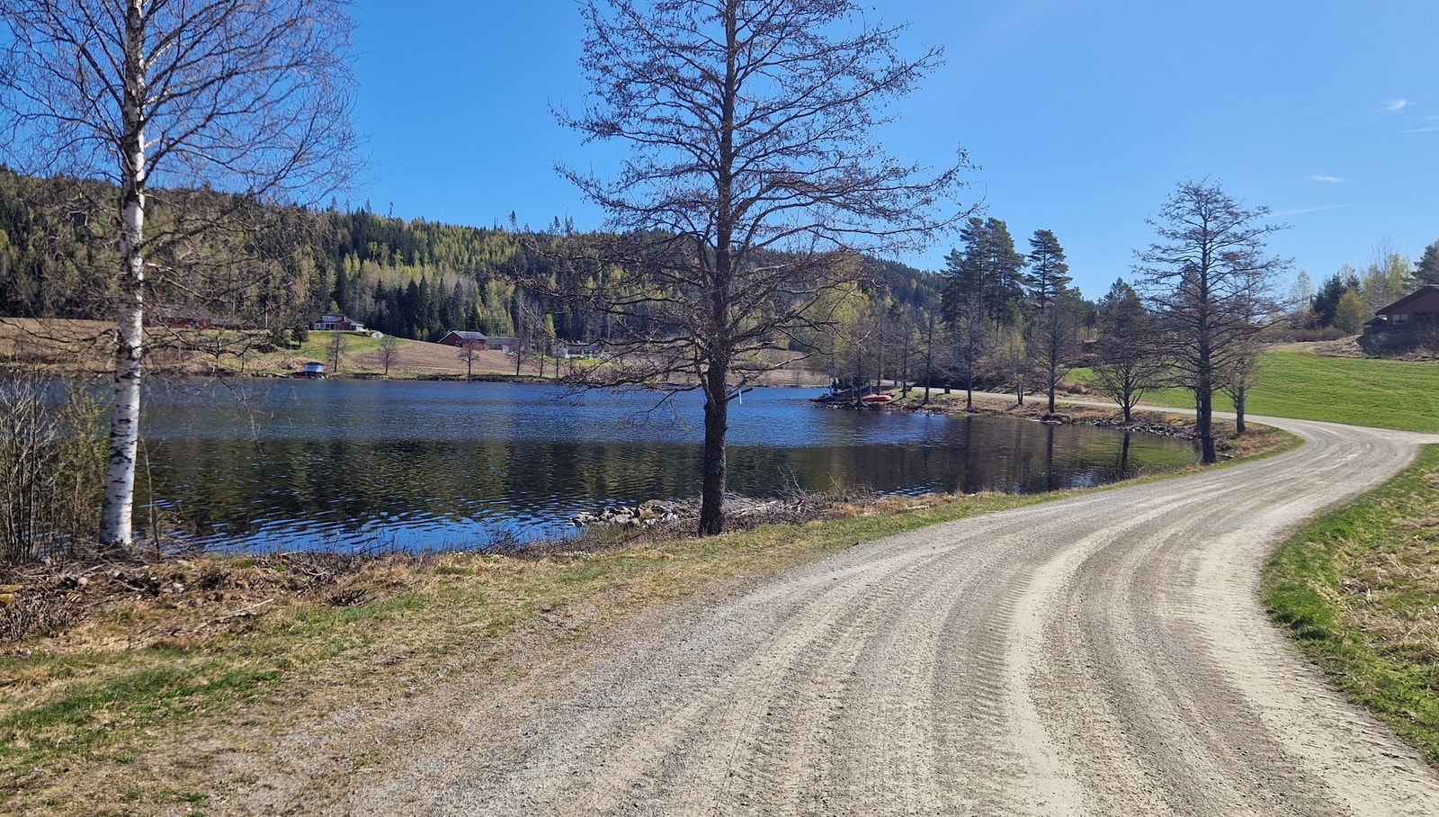 Her kan en av badeplassene med badebrygge ved Dølisjøen skimtes. Foto: eier. Galleribilde