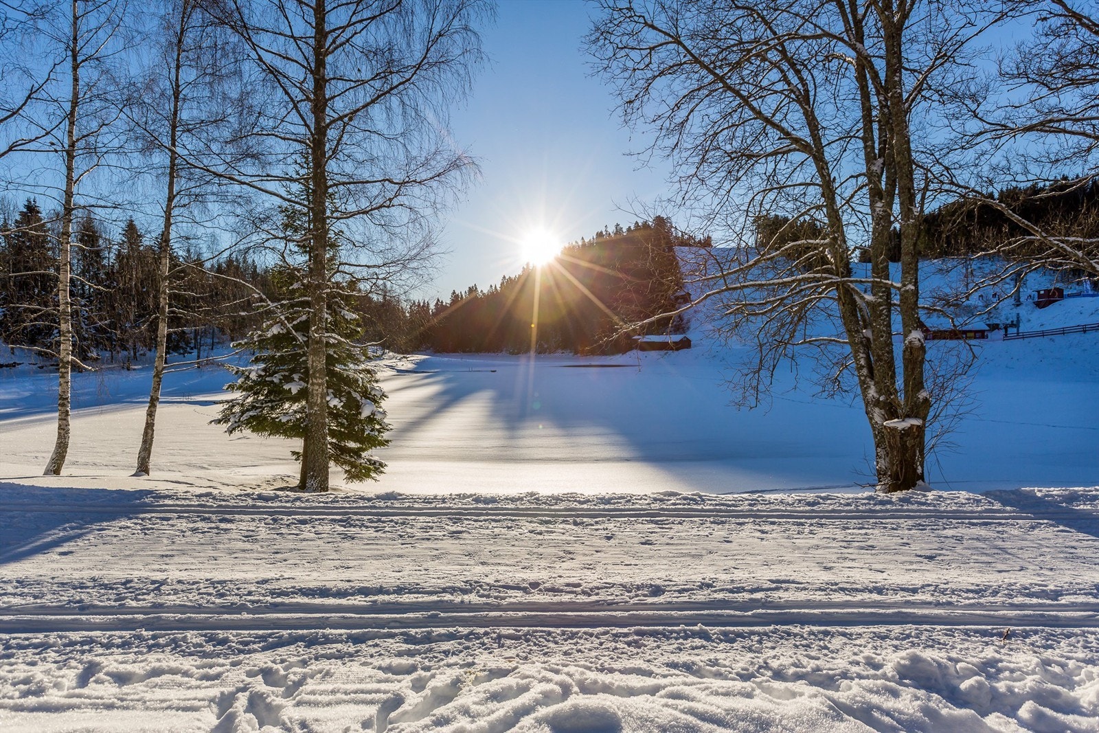 Her har du et flott løypenettverk med preparerte løyper på vinterstid like i bakgården Galleribilde