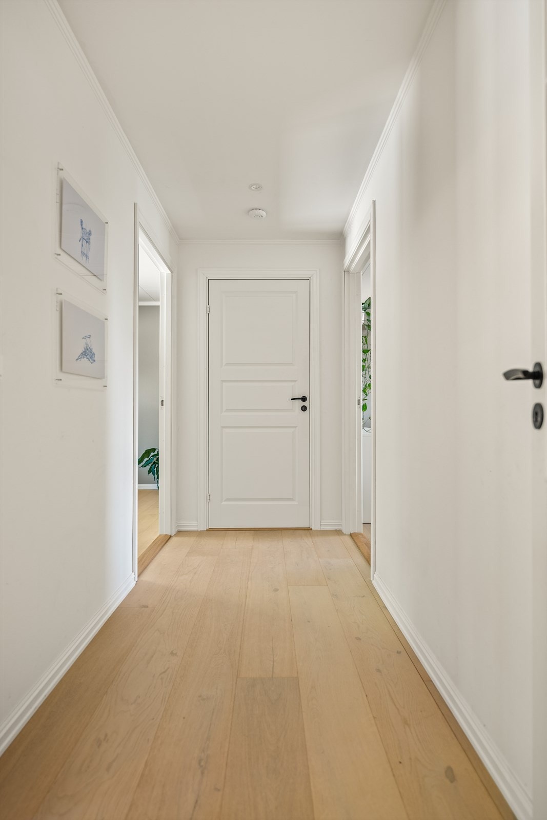Parkett på gulv og malte plater på vegger og i tak er gjennomgående i store deler av boligen. Galleribilde