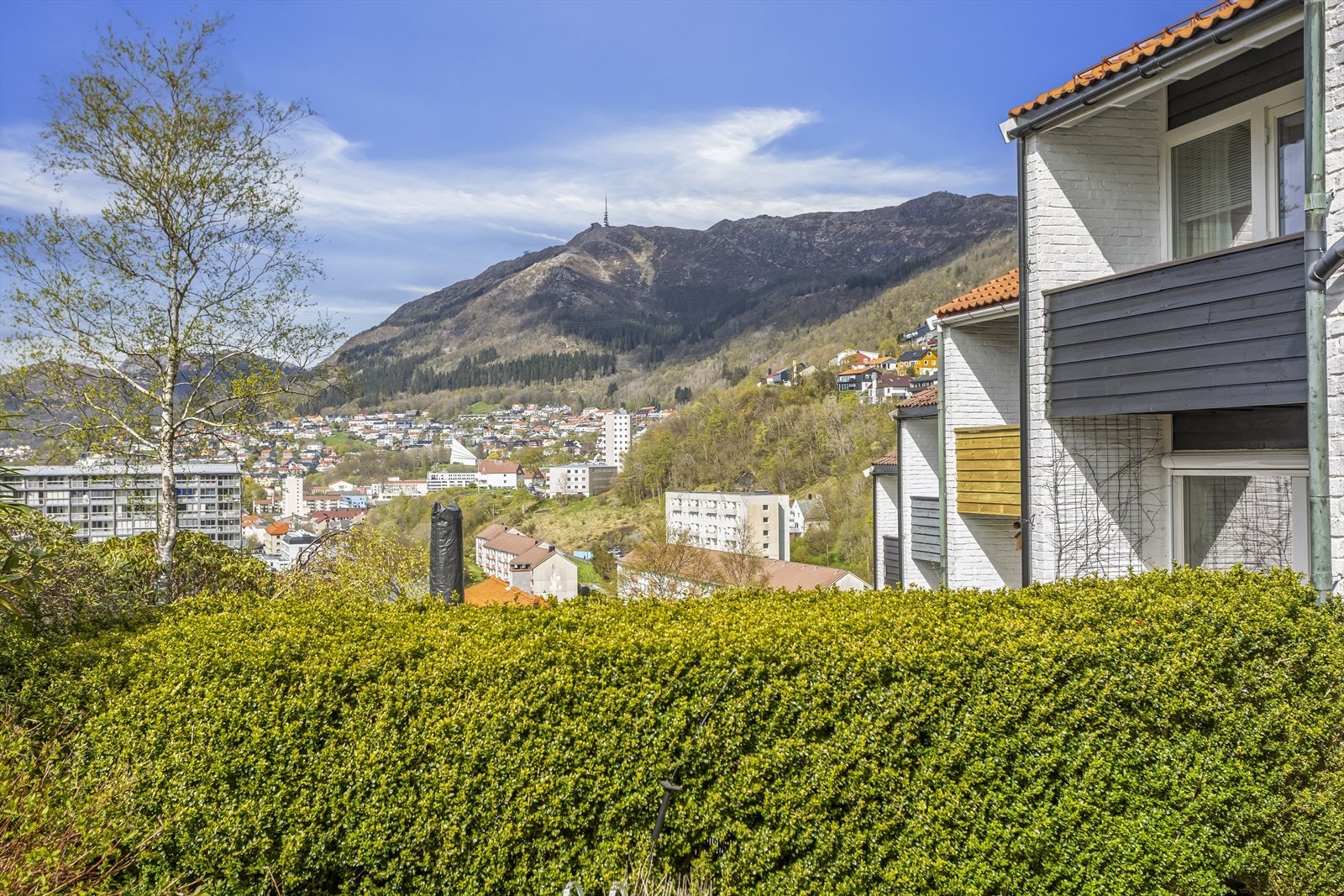 Utsikt mot Ulriken fra eiendommen. Galleribilde
