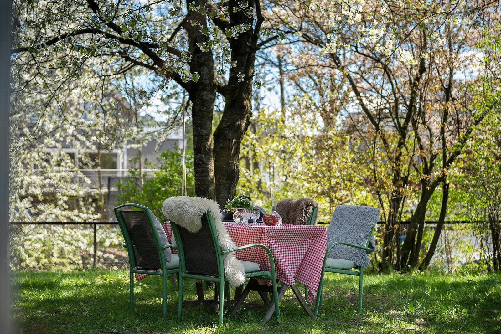 Her kan omgivelsene nytes med et godt måltid og sosialt lag. Galleribilde