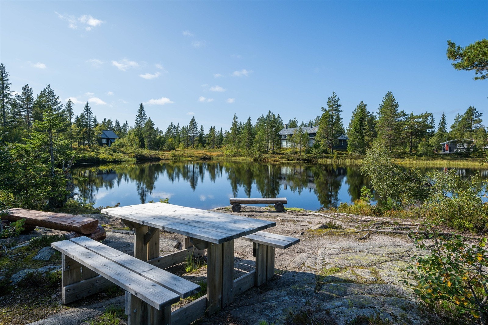 Om sommeren kan du nyte idylliske badevann, fantastiske fiskemuligheter (med fiskekort), og et rikt utvalg av bær og sopp - perfekt for den som vil kombinere naturopplevelse med en smaksfull høstferie. Galleribilde
