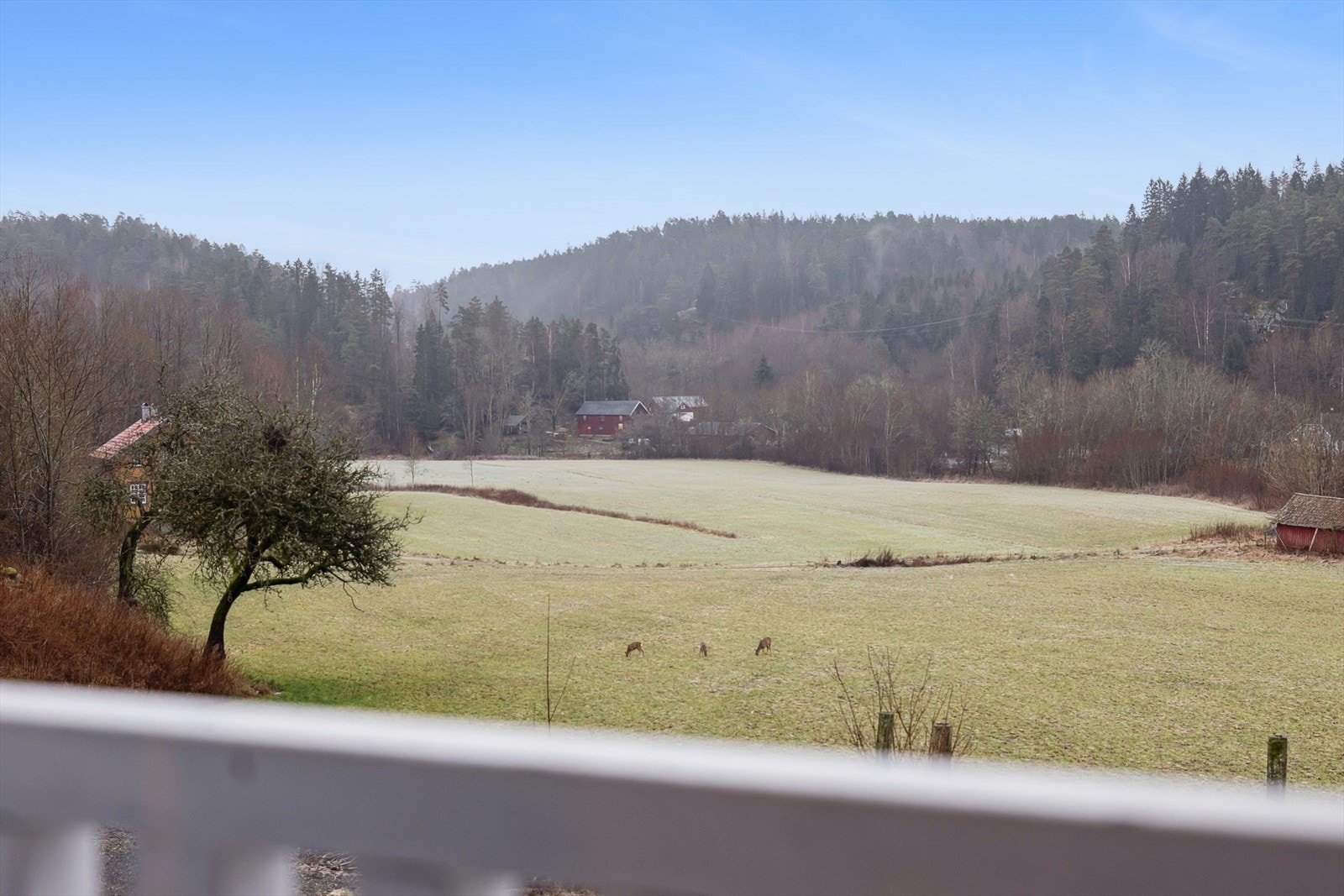 Landlig og fin utsikt Galleribilde