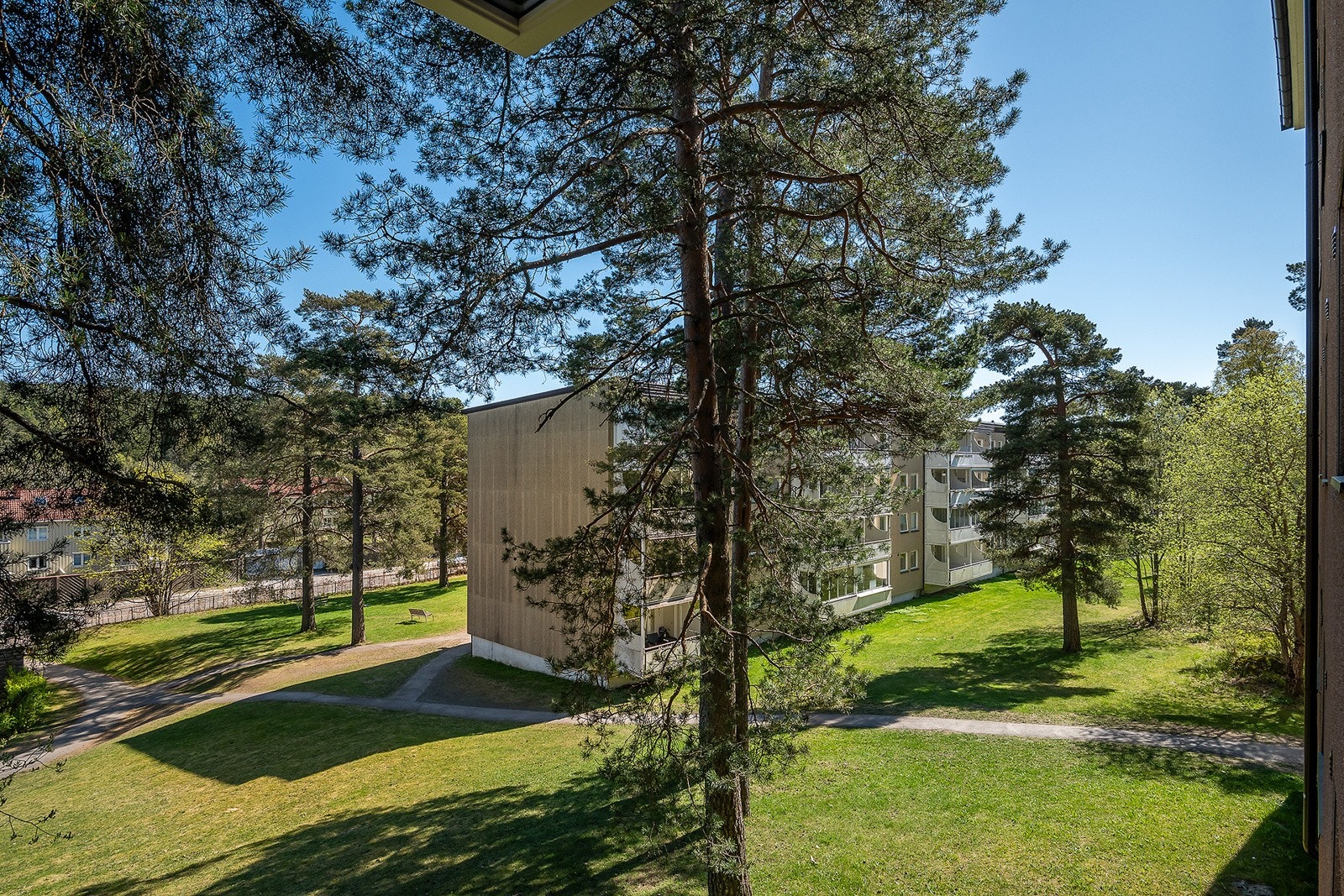 Utsikt Galleribilde