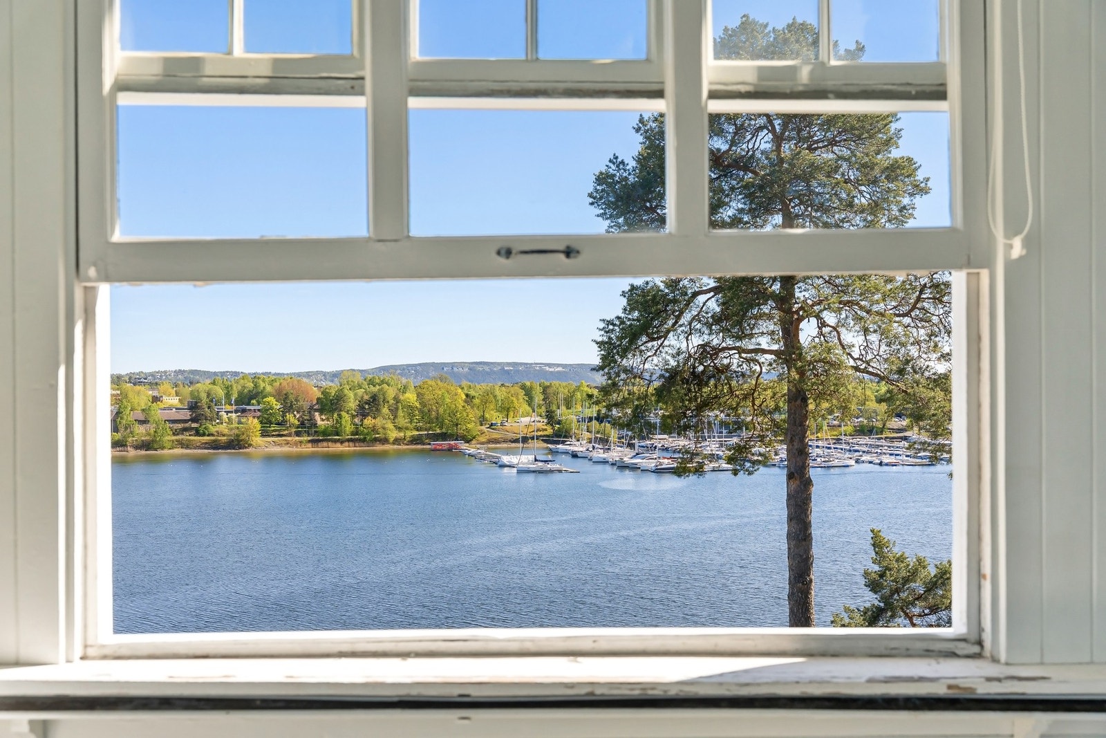 Fantastisk utsikt. Galleribilde