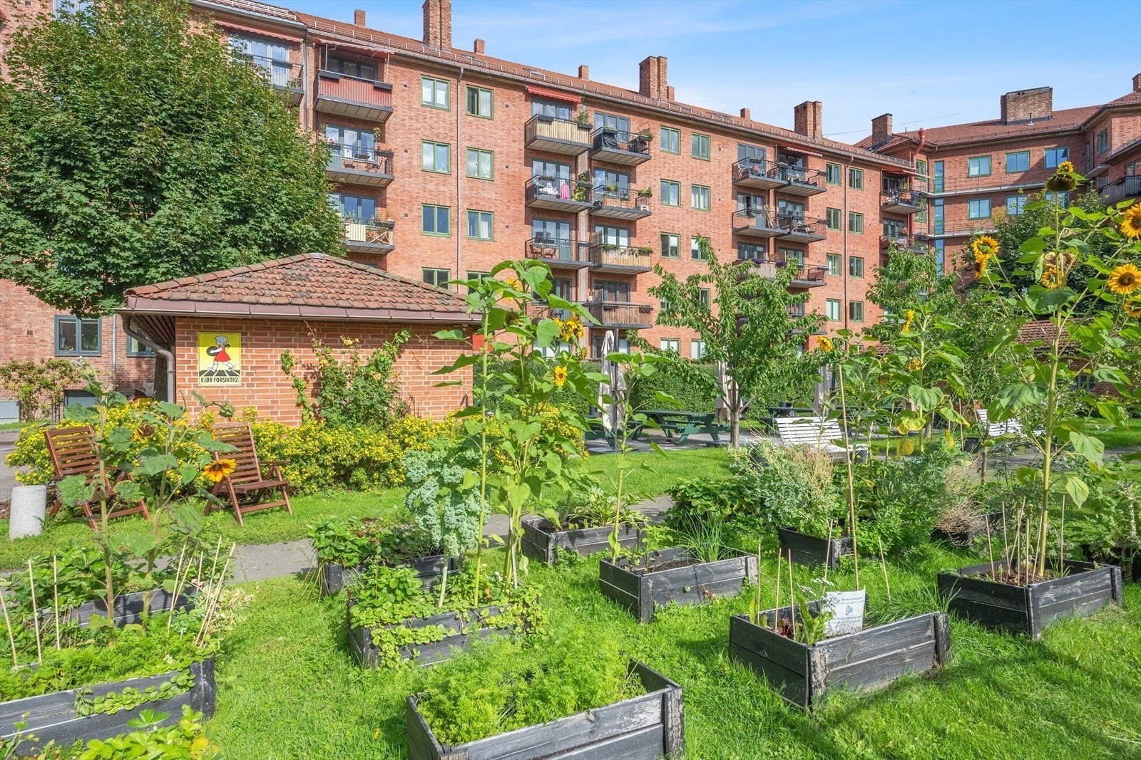 Vaktmester og hagegruppen bidrar til å holde utearealene fine og velstelte. Her har beboerne mulighet til å leie sin egen plantekasse! Galleribilde