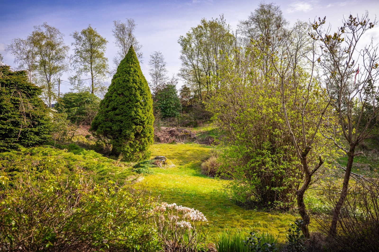Hagen er pent opparbeidet med plen og diverse beplantning. Galleribilde