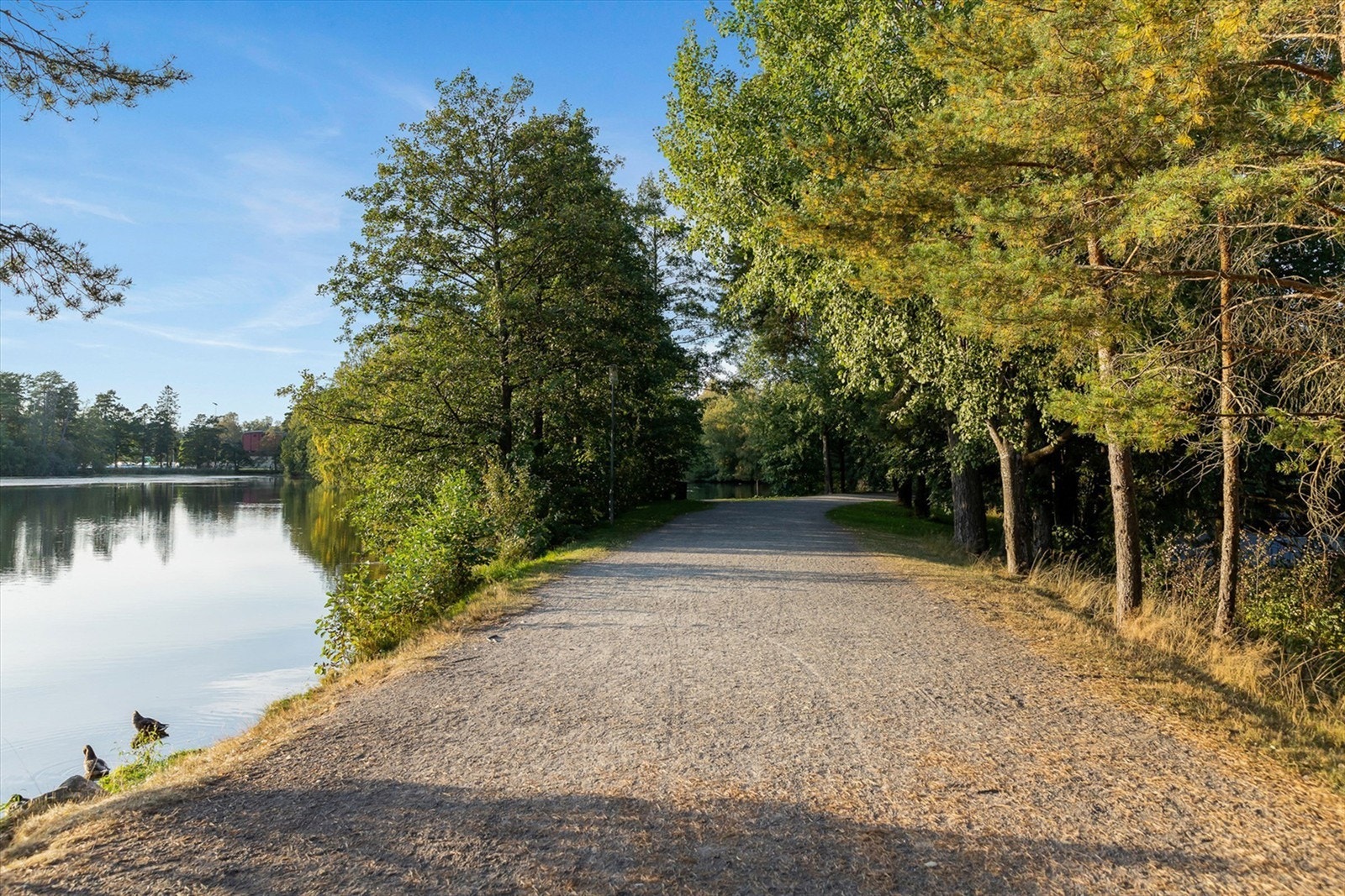 Fra boligen er det også kort rusleavstand til populære og velkjente Bugårdsparken. Her finnes blant annet opplyst tur- og joggeløype rundt dammen, svømmehall, frisbeebane, tennisbaner og øvrige idrettsanlegg som kunstisbane og skøytebane. Galleribilde