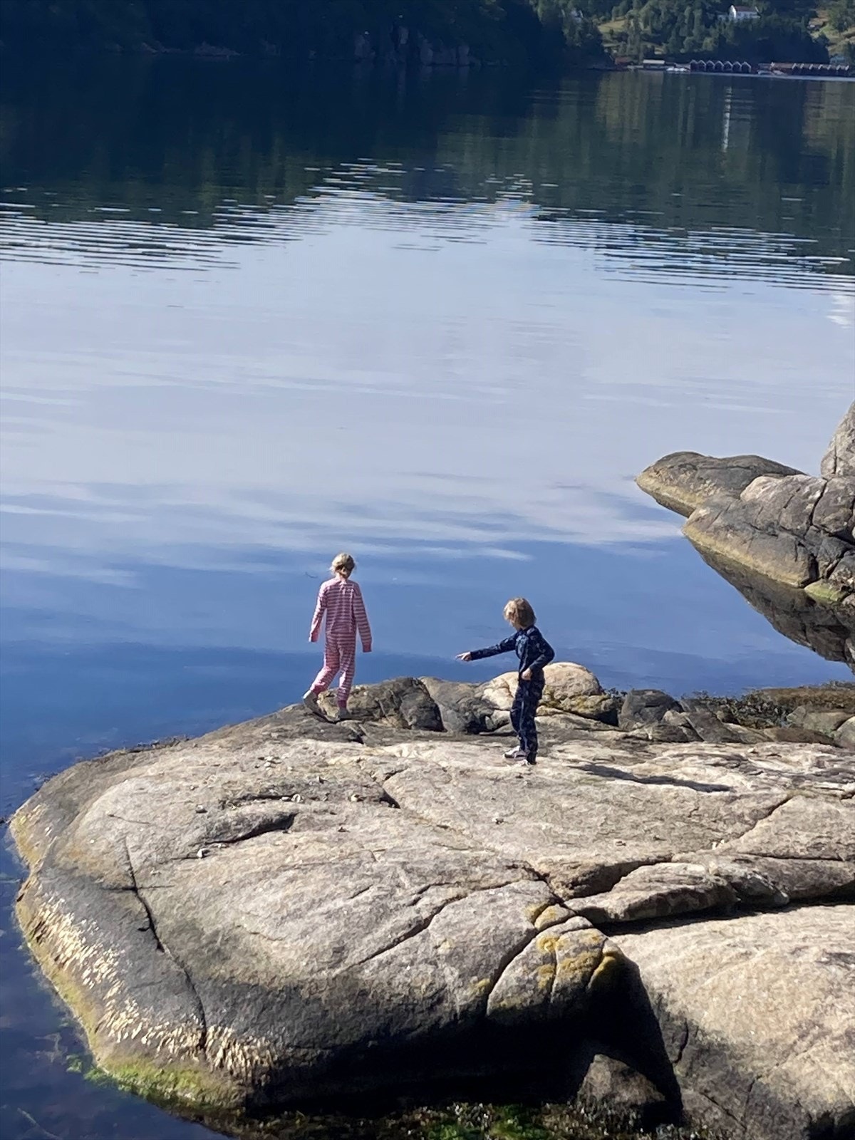 Idyll for stor og liten Galleribilde