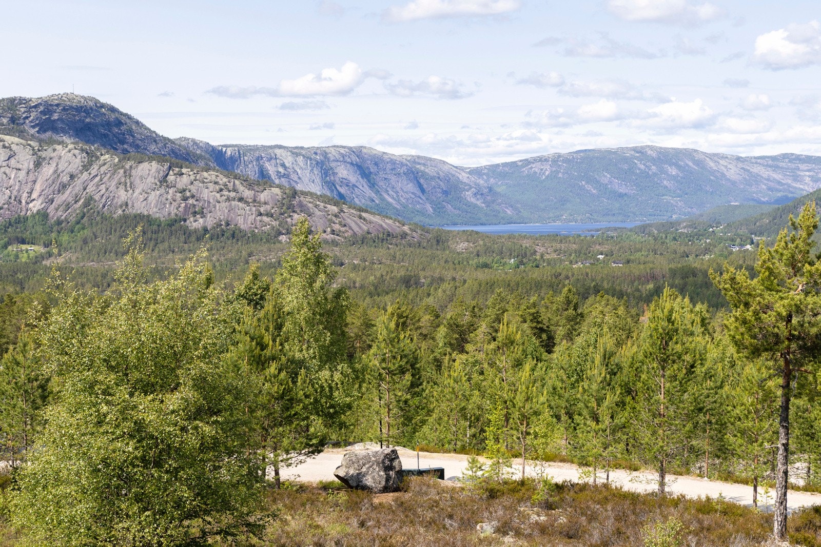 Uteområde. Galleribilde
