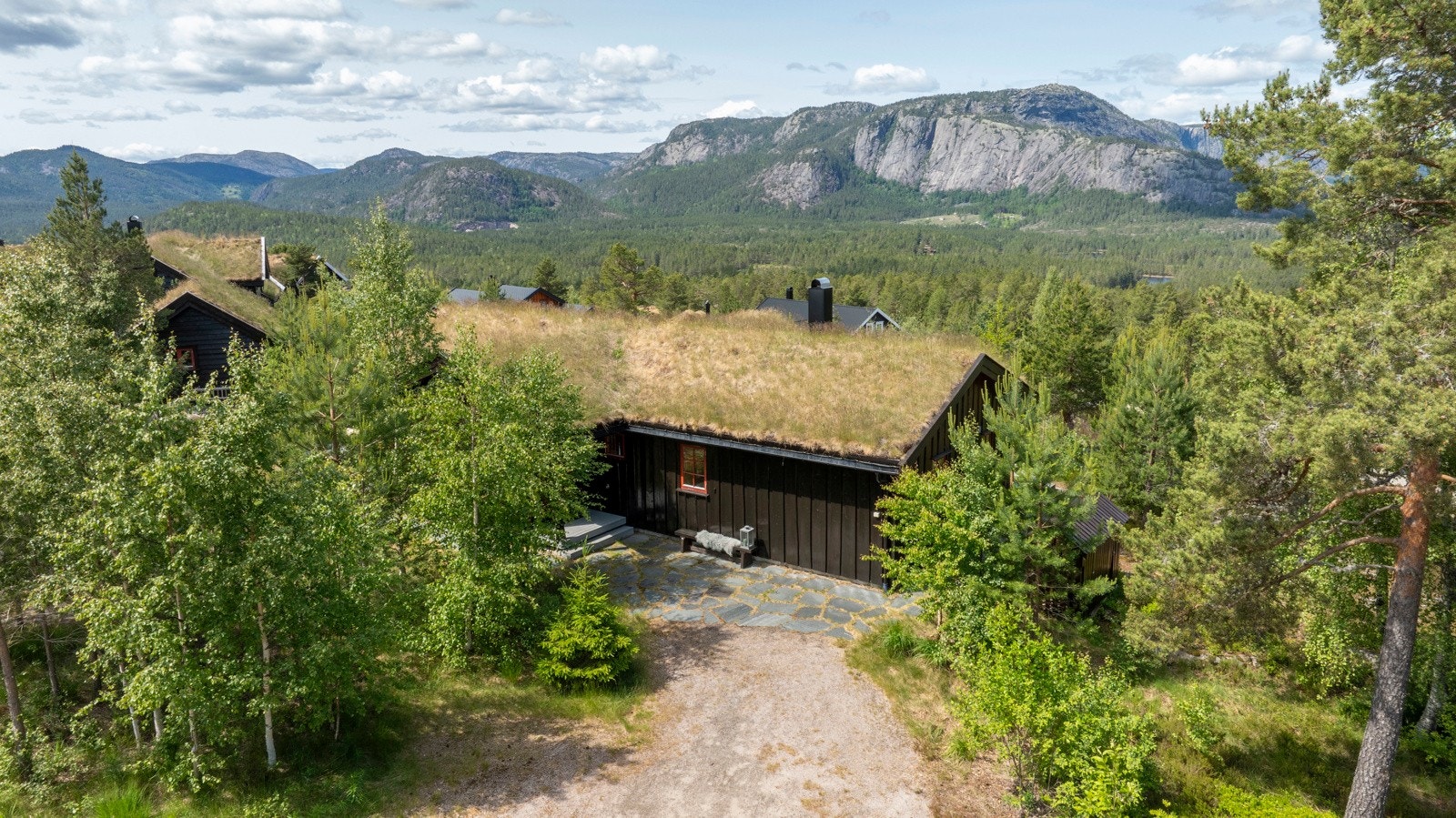Uteområde. Galleribilde