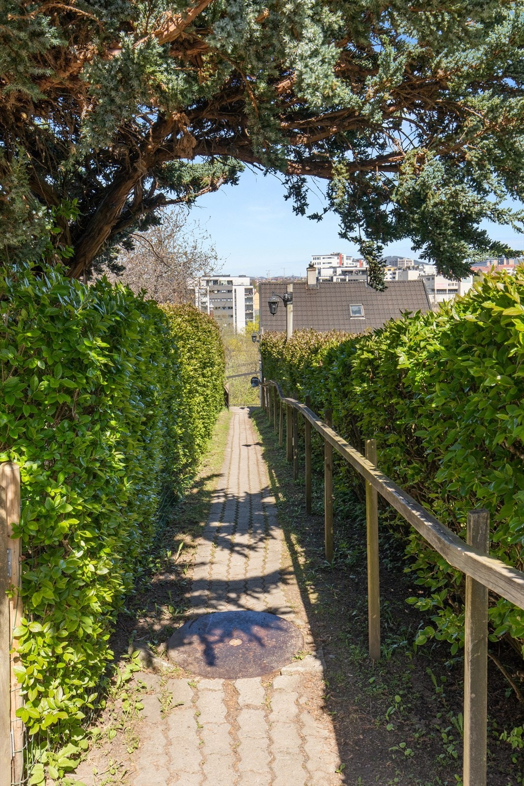 Fra toppen av trappen går man gjennom en frodig allé som leder inn til hagen og husets inngangsparti. Trappen og alléen deles med naboeiendommen i Eirik Raudes vei 17. Galleribilde