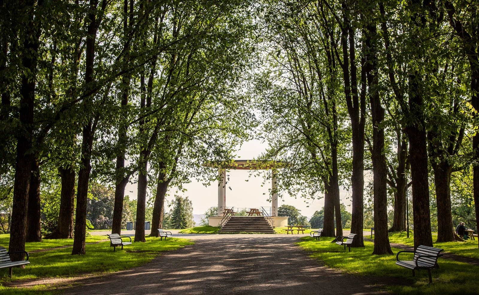 Områdebilde. Galleribilde