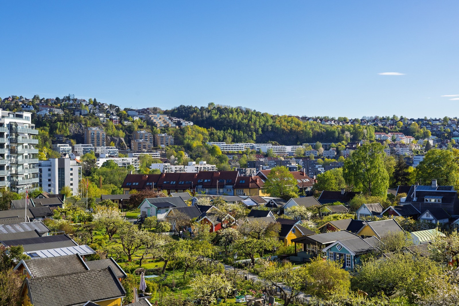 Flott utsikt. Galleribilde