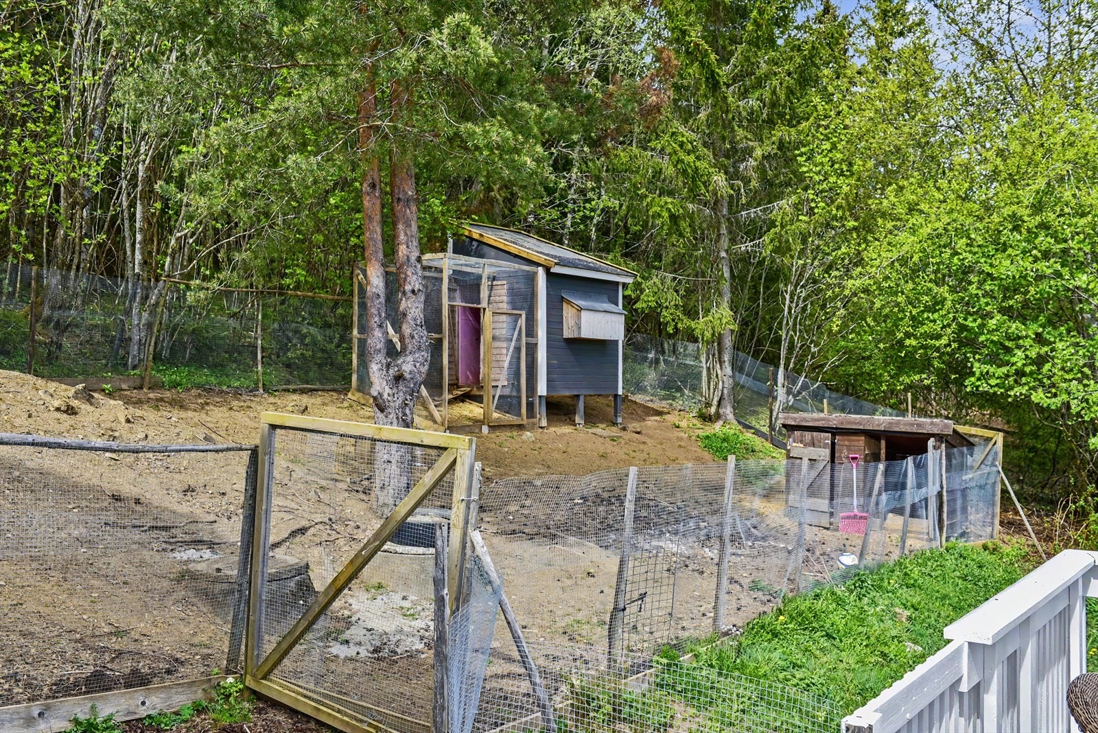 På tomten er det også et hønsehus, for de som ønsker seg landlig idyll med egne dyr. Galleribilde