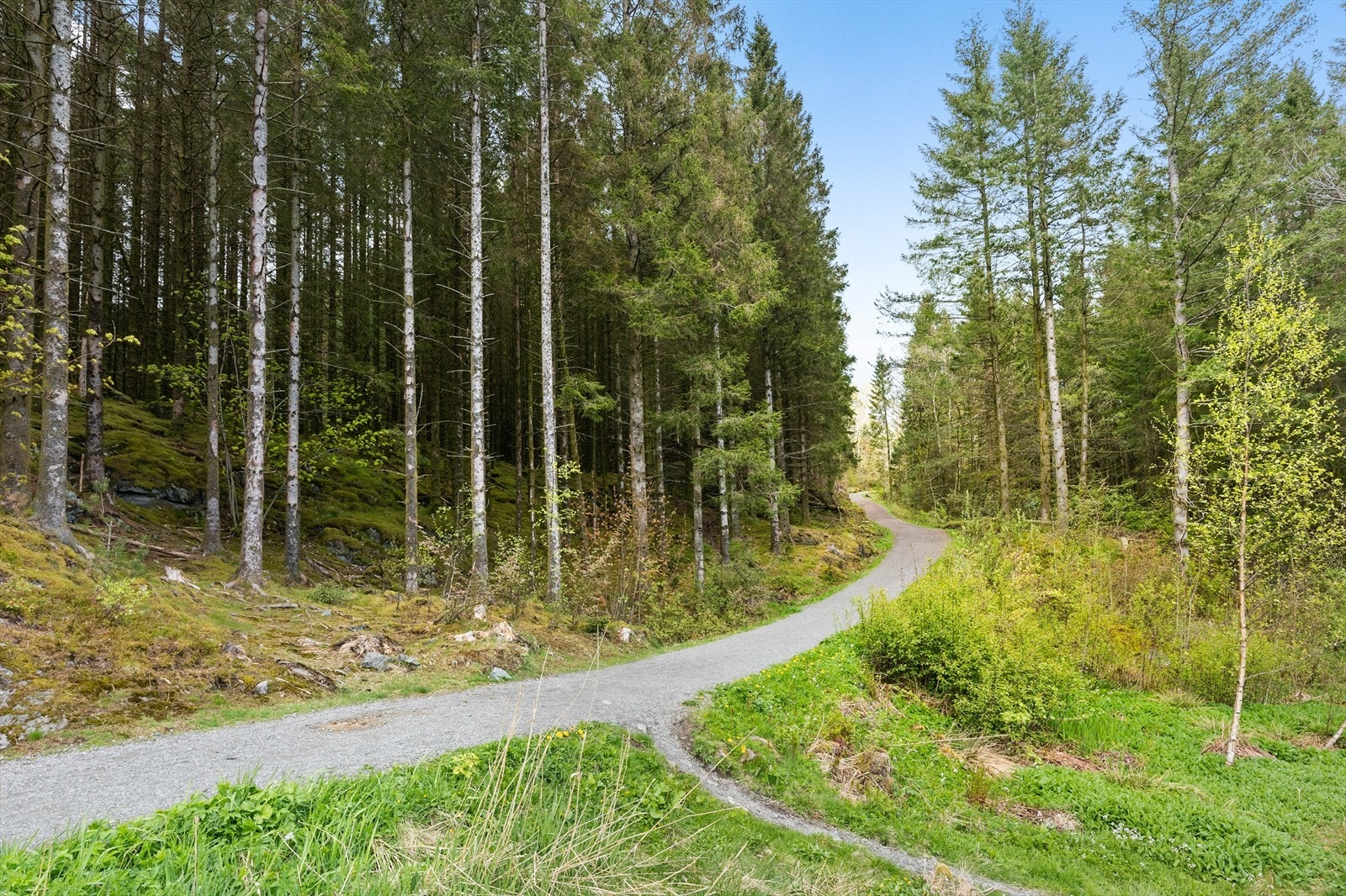 Med umiddelbar nærhet til skog og mark er dette et ideelt utgangspunkt for turer. Galleribilde