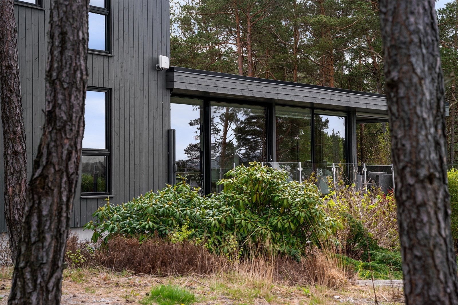 Fint tilbaketrukket i skogholtet. Skjermet og privat plassering. Galleribilde