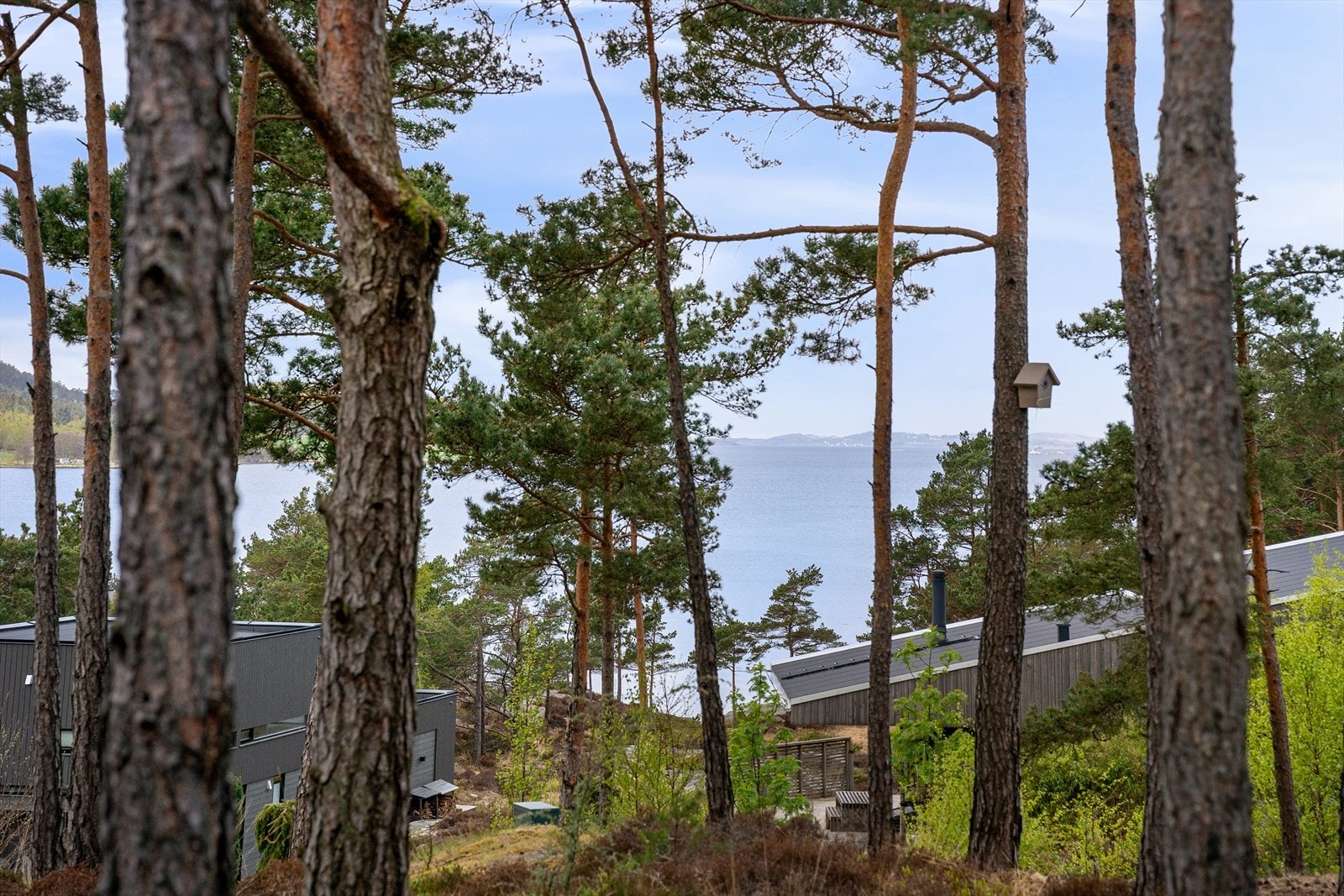 Fjord og fjell - tilbaketrukket i et skogholt. Lunt og skjermet, solrikt og idyllisk. Alt du ønsker deg av fritiden. Galleribilde