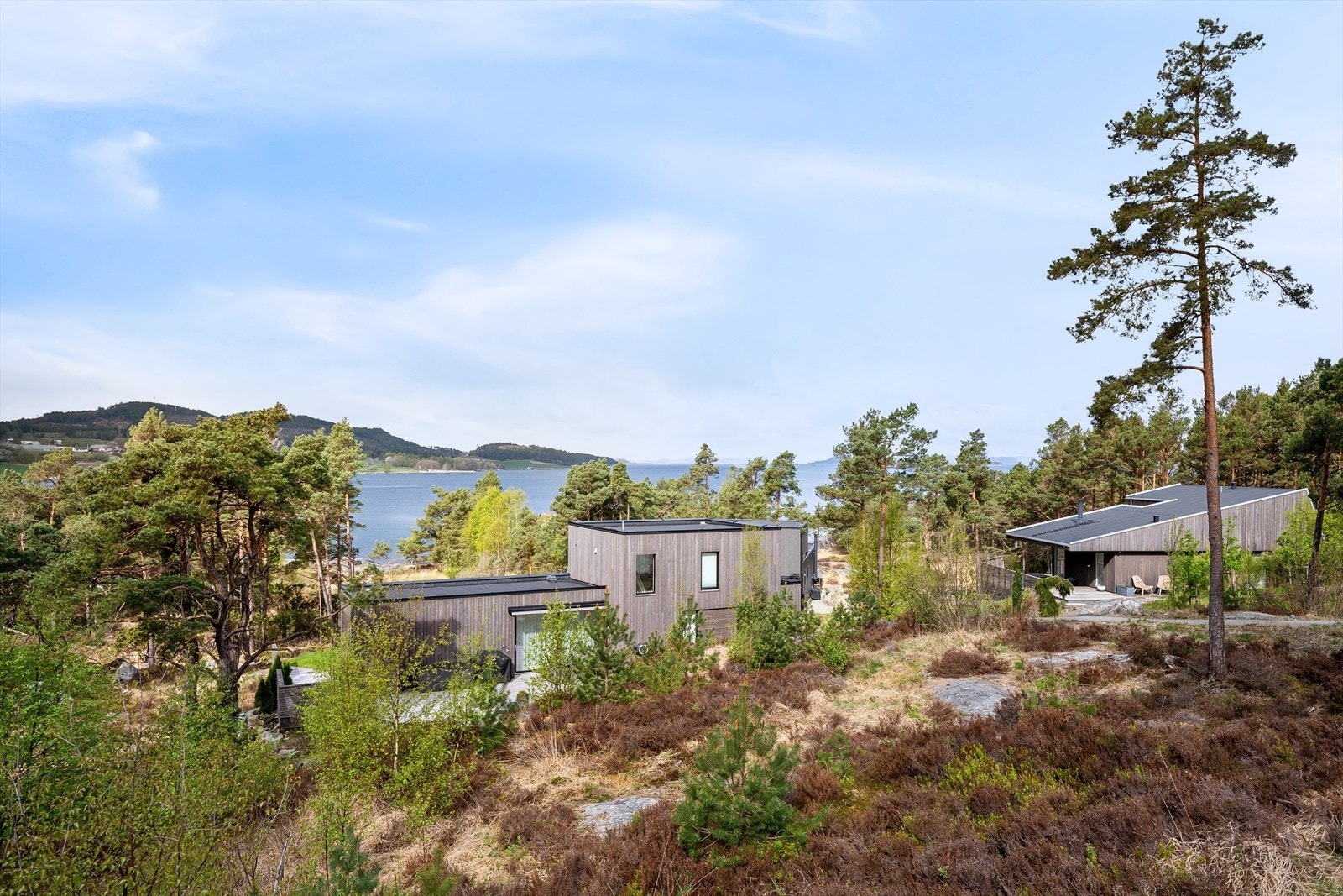 Utsikt og natur. Galleribilde