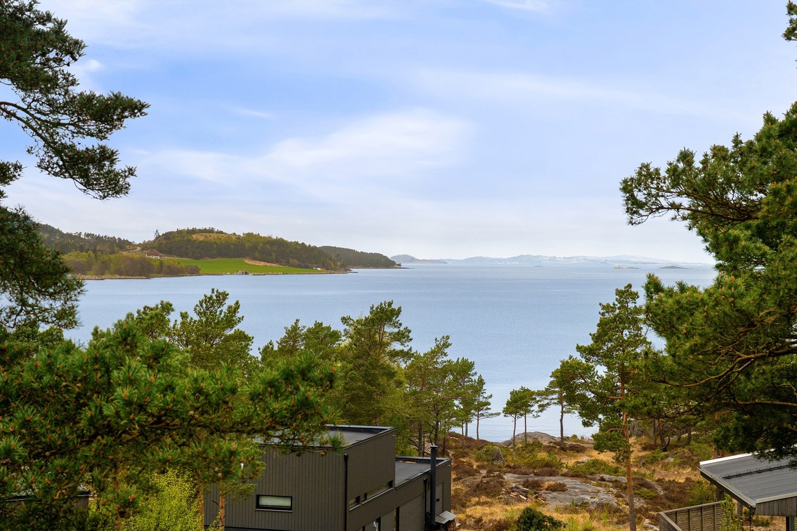 Formidabelt. Galleribilde