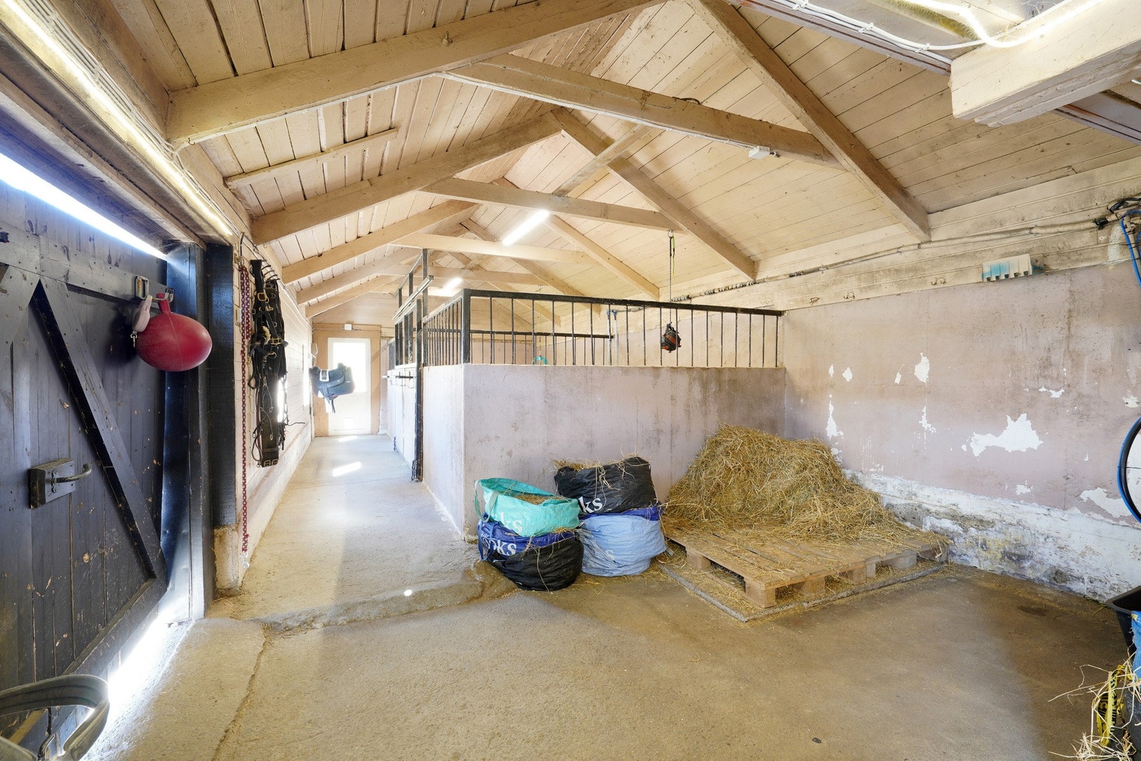 4 stallplasser med mulighet for flere Galleribilde