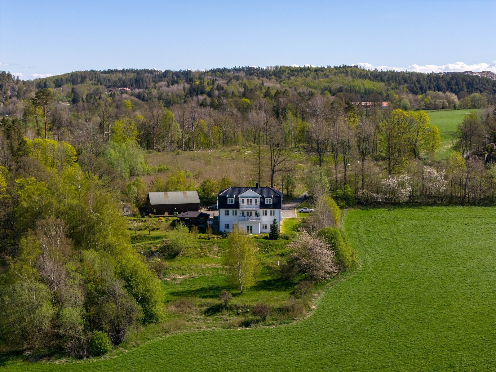 Velkommen til visning! Galleribilde